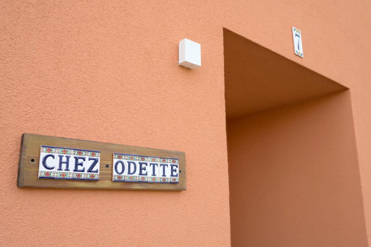 Chez Odette - Spa, Plancha, Parking 阿尔比 外观 照片